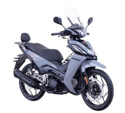 CUB GEMINI ARK 125X